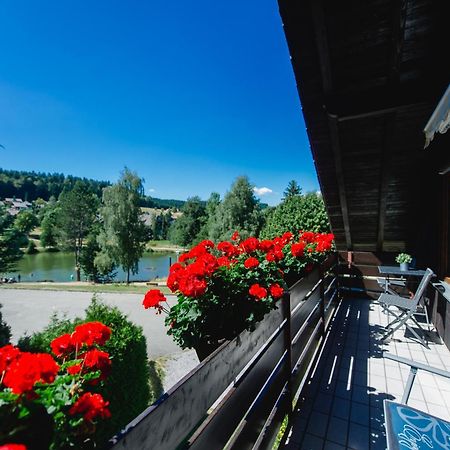 Ferienwohnungen Am Skilift Herrischried Kültér fotó