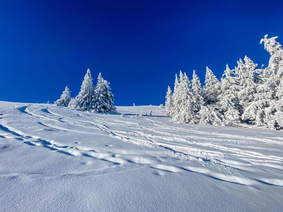 Ferienwohnungen Am Skilift Herrischried Kültér fotó