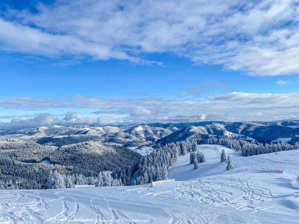 Ferienwohnungen Am Skilift Herrischried Kültér fotó