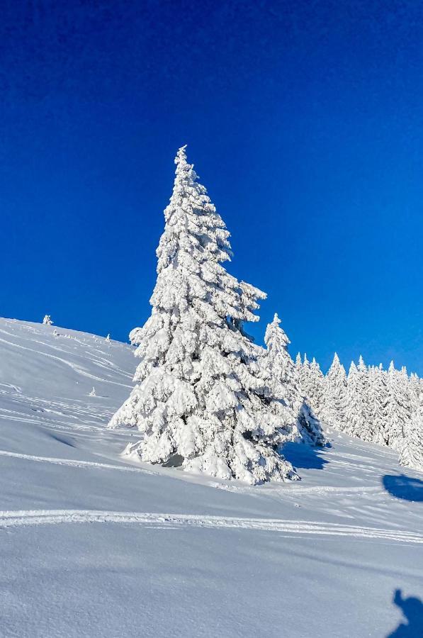 Ferienwohnungen Am Skilift Herrischried Kültér fotó