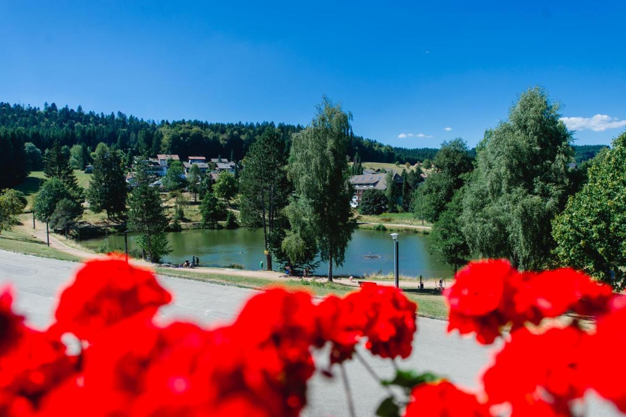 Ferienwohnungen Am Skilift Herrischried Kültér fotó