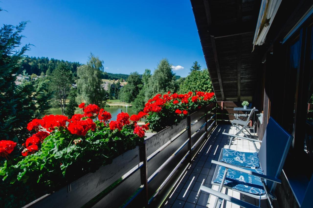 Ferienwohnungen Am Skilift Herrischried Kültér fotó