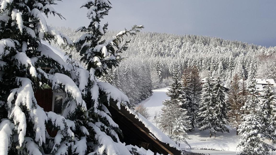 Ferienwohnungen Am Skilift Herrischried Kültér fotó