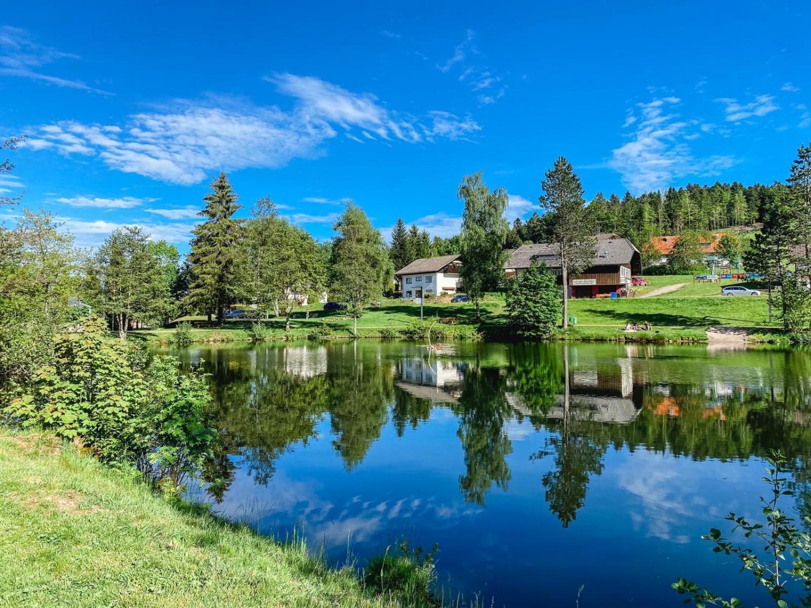 Ferienwohnungen Am Skilift Herrischried Kültér fotó