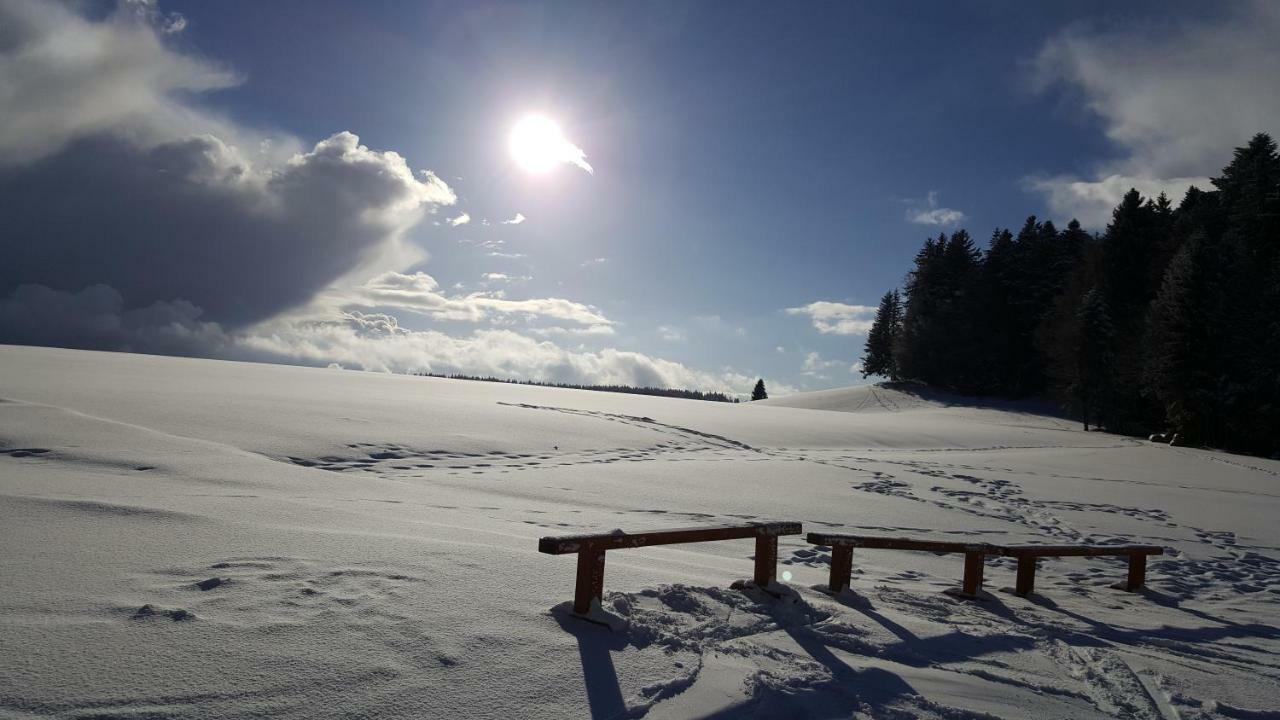 Ferienwohnungen Am Skilift Herrischried Kültér fotó