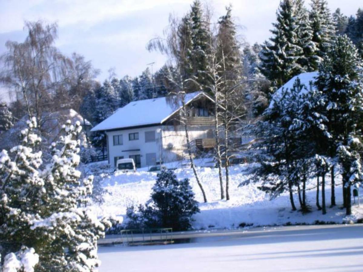 Ferienwohnungen Am Skilift Herrischried Kültér fotó